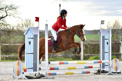 VENDU Vaudore poney appaloosa