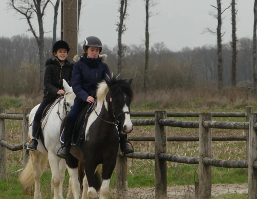 Bois Migne Centre Equestre Et Ecurie A Druye Cours Dequitation 1
