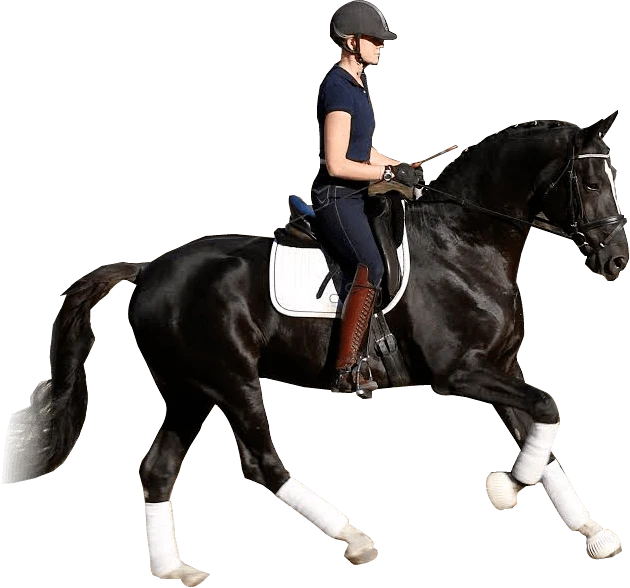 Bois Migne Centre Equestre Et Ecurie A Druye Before