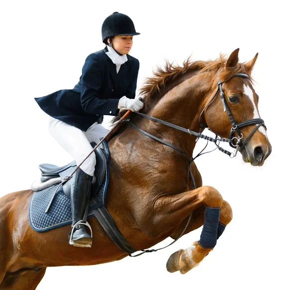 Bois Migne Centre Equestre Et Ecurie A Druye Bf