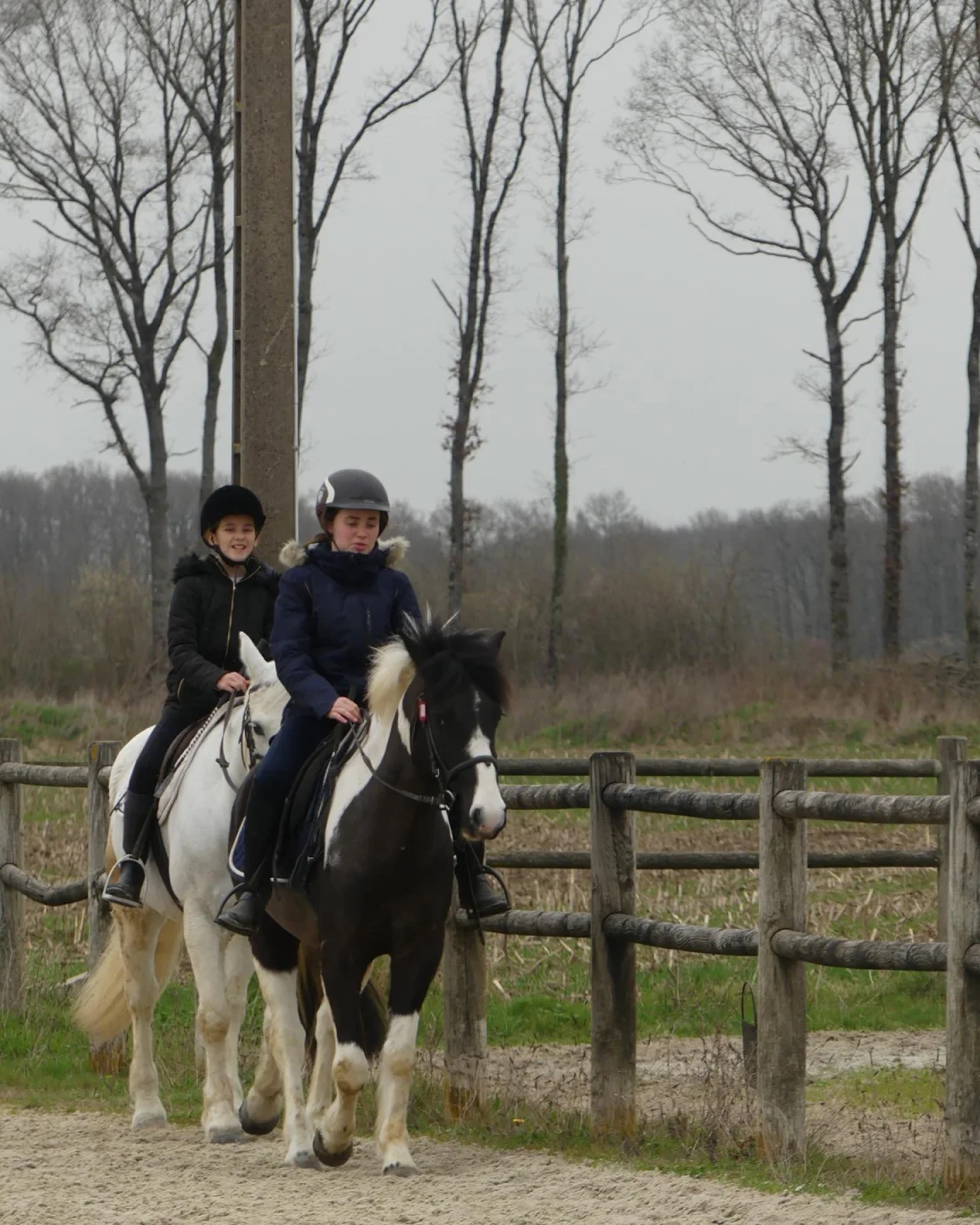 Bois Migne Centre Equestre Et Ecurie A Druye Bois Migne 2