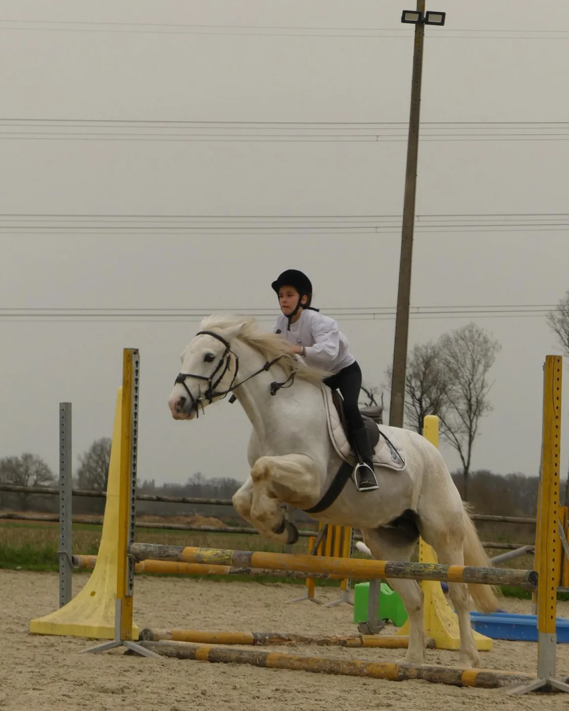 Bois Migne Centre Equestre Et Ecurie A Druye Bois Migne 4