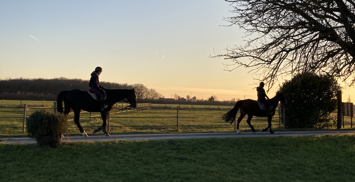 Bois Migne Centre Equestre Et Ecurie A Druye Capture Decran 2026 03 06 A 11.17.12
